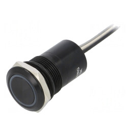 Comutator Capacitiv IP68 2 Pozitii 12V | Electronic-mag.ro | Componente Electronice