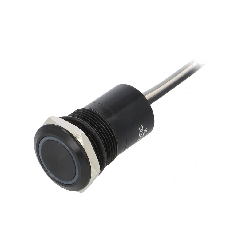 Comutator Capacitiv IP68 2 Pozitii 12V | Electronic-mag.ro | Componente Electronice