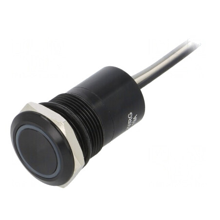 Comutator Capacitiv IP68 2 Pozitii 12V | Electronic-mag.ro | Componente Electronice