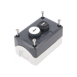 Casetă de Comandă Harmony XB5 cu 2 Butoane IP66 Plastic | Electronic-mag.ro | Componente Electronice