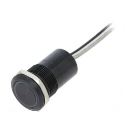 Comutator Capacitiv ON-OFF IP68 12V | Electronic-mag.ro | Componente Electronice