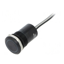 Comutator Capacitiv ON/OFF 12V IP68 | Electronic-mag.ro | Componente Electronice