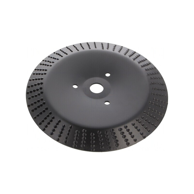 Grinding Wheel 230mm with Rasp | Electronic-mag.ro | Componente Electronice