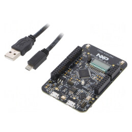 Kit Dezvoltare ARM NXP cu Cablu USB și Placă de Bază