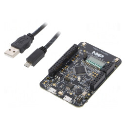 Kit Dezvoltare ARM NXP cu Cablu USB și Placă de Bază | Electronic-mag.ro | Componente Electronice