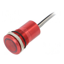 Comutator Capacitiv SPST-NO 12V IP68 | Electronic-mag.ro | Componente Electronice