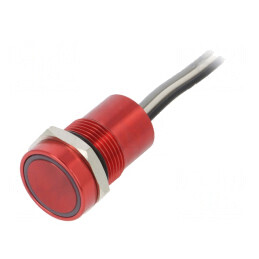 Comutator Capacitiv IP68 12V SPST-NO | Electronic-mag.ro | Componente Electronice