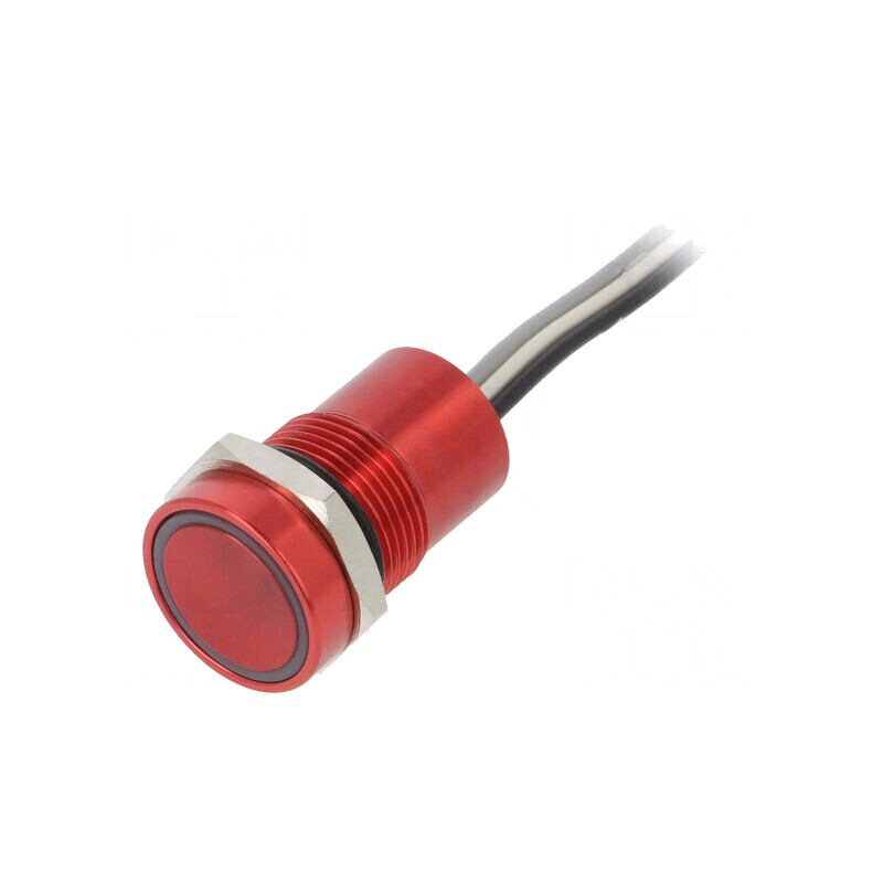 Comutator Capacitiv IP68 12V SPST-NO | Electronic-mag.ro | Componente Electronice