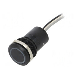 Comutator Capacitiv 12V IP68 | Electronic-mag.ro | Componente Electronice