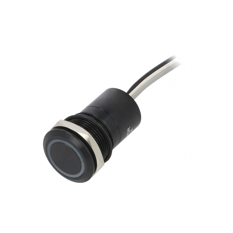 Comutator Capacitiv 12V IP68 | Electronic-mag.ro | Componente Electronice