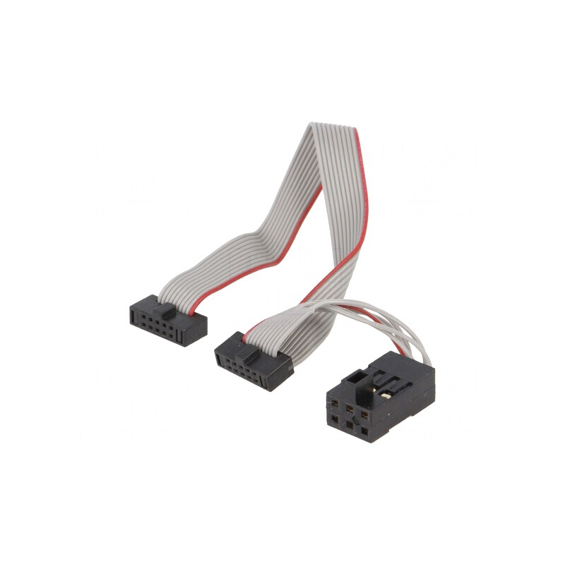 Cablu Conectare ARM MICROCHIP AVR ATATMEL ICE | Electronic-mag.ro | Componente Electronice
