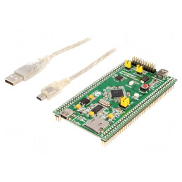 Kituri dezv: ARM NXP | JTAG | mikroBoard | 1MBFLASH | Comp: LPC2148 | MIKROBOARD FOR ARM 64-PIN
