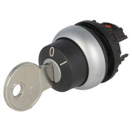 Comutator Rotativ cu Cheie 22mm RMQ-Titan | Electronic-mag.ro | Componente Electronice