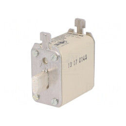 Siguranță industrială NH00 100A 690VAC 440VDC | Electronic-mag.ro | Componente Electronice