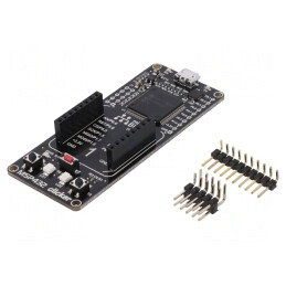 Kit Dezvoltare ARM Texas MSP432P401R și MSP432 Clicker | Electronic-mag.ro | Componente Electronice