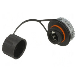 Adaptor Ecranat Cat 6a cu Capac de Protecție 8p8c | Electronic-mag.ro | Componente Electronice