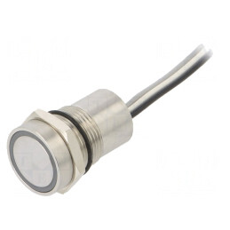 Comutator Capacitiv SPST-NO 12V IP68