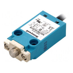 Limitator cursă bolț NO NC 10A 240VAC 250VDC IP67 | Electronic-mag.ro | Componente Electronice