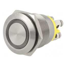 Comutator Anti-Vandalism 2 Poz SPST-NO 24VDC IP66 | Electronic-mag.ro | Componente Electronice