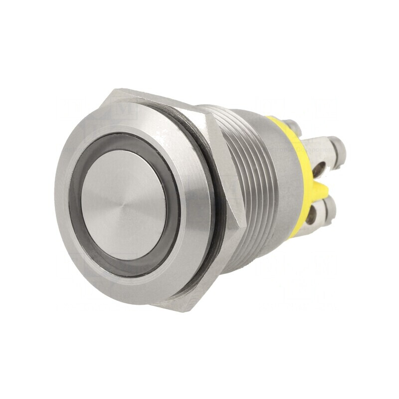 Comutator Anti-Vandalism 2 Poz SPST-NO 24VDC IP66 | Electronic-mag.ro | Componente Electronice