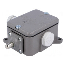 Limitator cursă bolţ NO/NC 16A IP56 LK-10 | Electronic-mag.ro | Componente Electronice