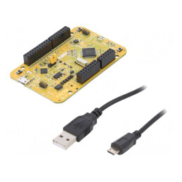 Kituri dezv: ARM NXP | FlexCAN,GPIO,USB | 1,8VDC,3,3VDC | FRDM-KV11Z