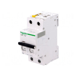 Întrerupător de Supracurent 2A 2P 400VAC C | Electronic-mag.ro | Componente Electronice