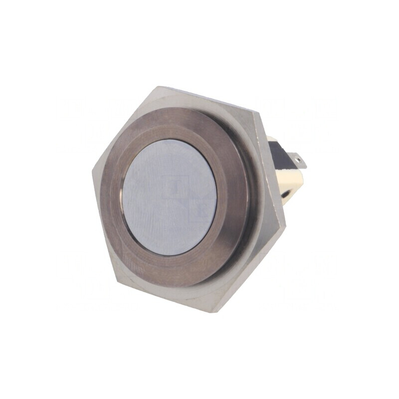 Comutator Anti-Vandalism 2 Poz 5A/250VAC | Electronic-mag.ro | Componente Electronice Comutator Anti-Vandalism 2 Poz 5A/250VAC | Electronic-mag.ro | Componente Electronice