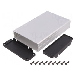 Carcasă cu Panou cu Lame de Fixare IP65 104mm x 160mm | Electronic-mag.ro | Componente Electronice
