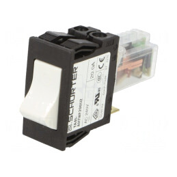 Întrerupător de Supracurent 20A DPST MCB | Electronic-mag.ro | Componente Electronice