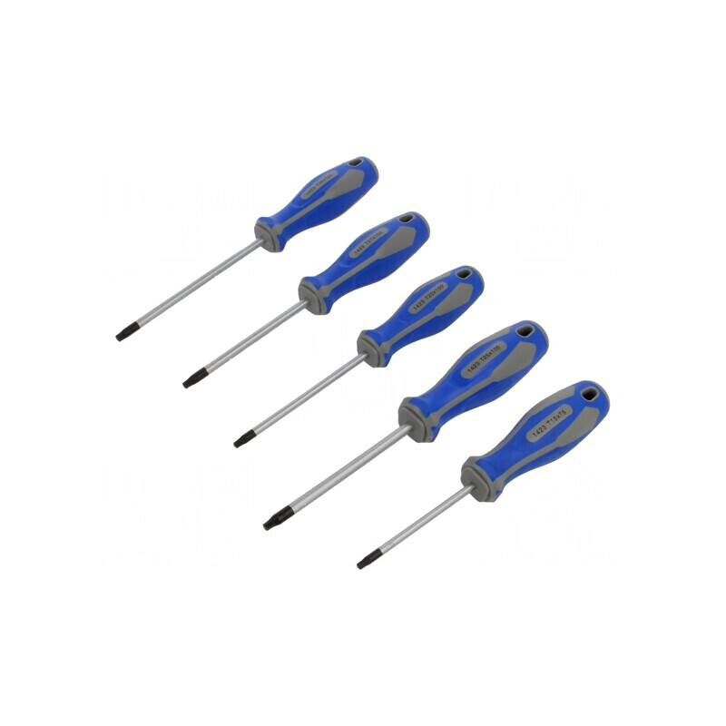 Kit Șurubelnițe Torx 5 Bucăți | Electronic-mag.ro | Componente Electronice
