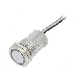 Comutator Capacitiv 12V IP68 ON-OFF | Electronic-mag.ro | Componente Electronice