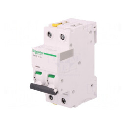 Întrerupător de Supracurent 400VAC 4A 2P C A9F07204 | Electronic-mag.ro | Componente Electronice