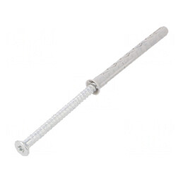 Plastic Anchor with Screw 8x80 Zinc-Plated Steel 8mm