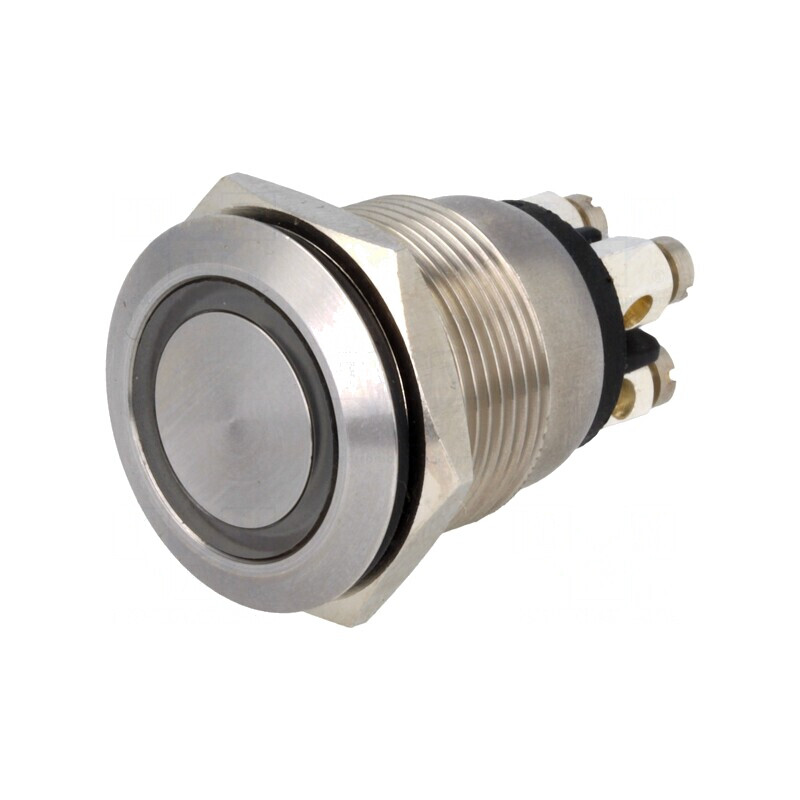 Comutator Anti-Vandalism 2 Poz SPST-NO 0.05A 24VDC IP66 | Electronic-mag.ro | Componente Electronice Comutator Anti-Vandalism 2 Poz SPST-NO 0.05A 24VDC IP66 | Electronic-mag.ro | Componente Electronice
