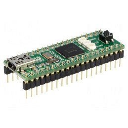 Placă Prototip Microchip PIC32 MINI-32 Board | Electronic-mag.ro | Componente Electronice