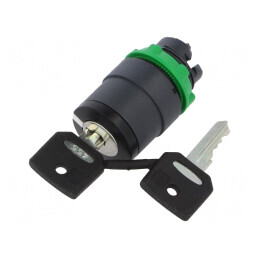 Comutator Rotativ cu Cheie 22mm Negru 2 Posiții | Electronic-mag.ro | Componente Electronice