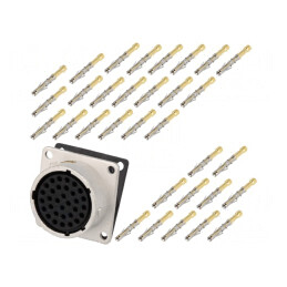 Conector Circular Mamă Crimpat PIN 32 IP67 RT360 | Electronic-mag.ro | Componente Electronice