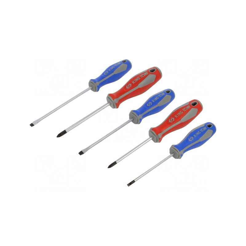 Set Şurubelniţe Phillips şi Plată 5 Bucăţi | Electronic-mag.ro | Componente Electronice