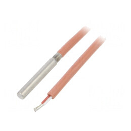 Senzor Temperatură Pt100 Clasa B Ø5,7x28mm | Electronic-mag.ro | Componente Electronice