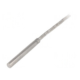 Senzor Temperatură Pt100 100Ω Clasa A Ø6x50mm | Electronic-mag.ro | Componente Electronice