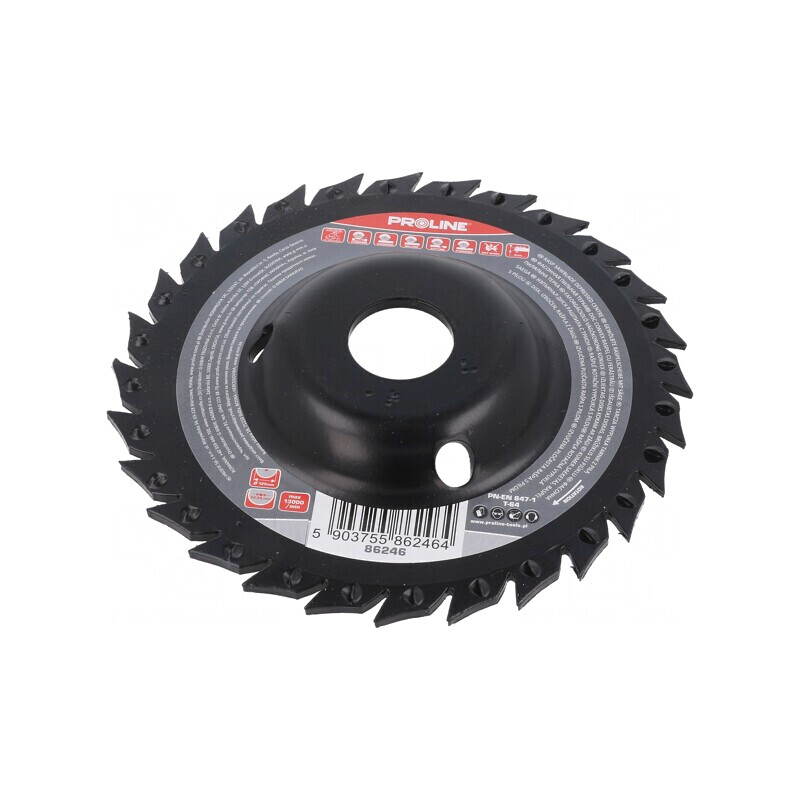 Grinding Wheel 125mm with Rasp | Electronic-mag.ro | Componente Electronice