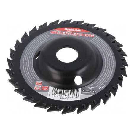 Grinding Wheel 125mm with Rasp | Electronic-mag.ro | Componente Electronice