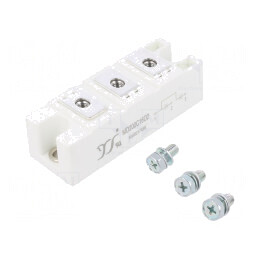 Diodă Dublă 1,6kV 200A | Electronic-mag.ro | Componente Electronice