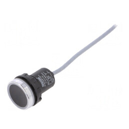 Comutator Capacitiv Negru-Argintiu 10-30VDC NPN NO | Electronic-mag.ro | Componente Electronice