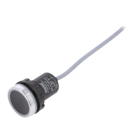 Comutator Capacitiv Negru-Argintiu 10-30VDC NPN NO | Electronic-mag.ro | Componente Electronice