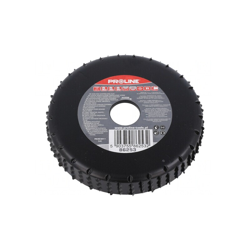 Grinding Wheel 120mm Flat with Rasp | Electronic-mag.ro | Componente Electronice