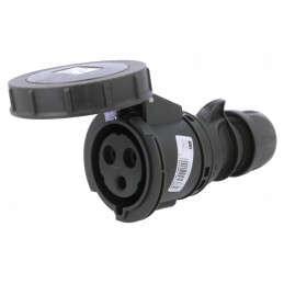 Conector alimentare AC trifazat 32A 230VAC IP67 mamă | Electronic-mag.ro | Componente Electronice