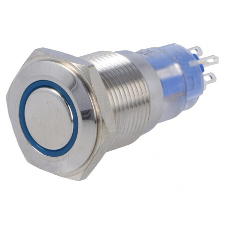Comutator Anti-Vandalism DPST 3A 250VAC OFF-ON 12VDC | Electronic-mag.ro | Componente Electronice