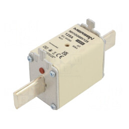 Siguranță gG 125A 690VAC 400VDC NH1 | Electronic-mag.ro | Componente Electronice